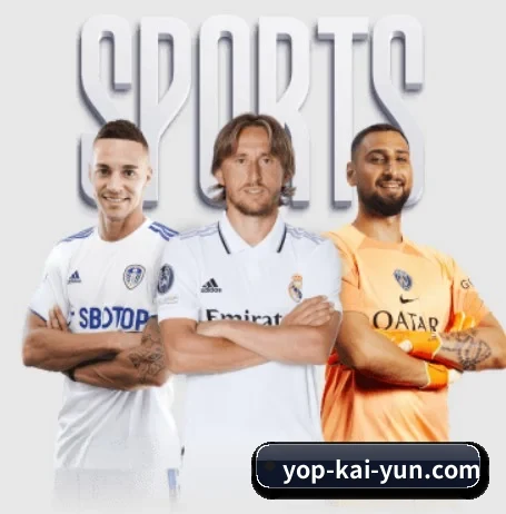 开云体育 APP 界面 | kaiyun